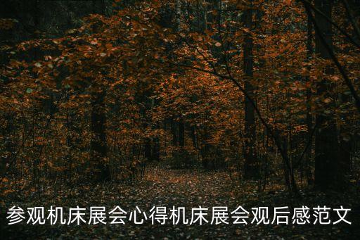 參觀機床展會心得機床展會觀后感范文