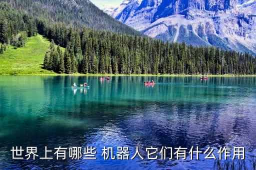 世界上有哪些 機(jī)器人它們有什么作用