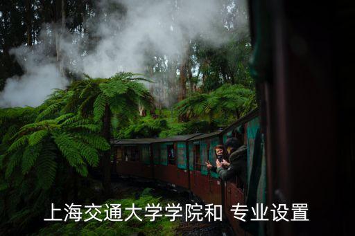 交大 大數(shù)據(jù)專業(yè),交大最好的專業(yè)