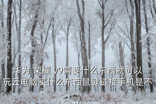 榮耀v9數(shù)據(jù)線多少錢