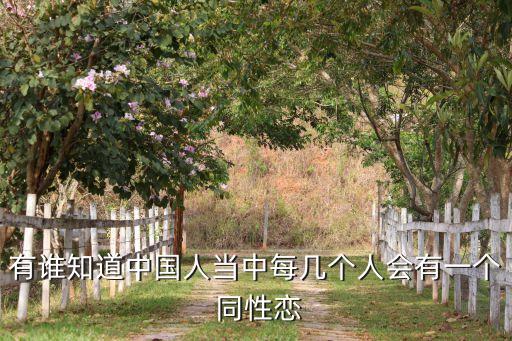 有誰知道中國人當(dāng)中每幾個人會有一個 同性戀