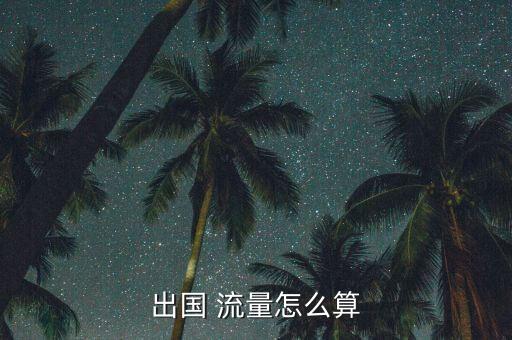 出國 流量怎么算