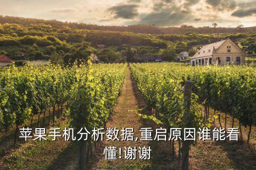 蘋果數(shù)據(jù)分析是什么,蘋果手機(jī)backboardd數(shù)據(jù)分析是什么問題