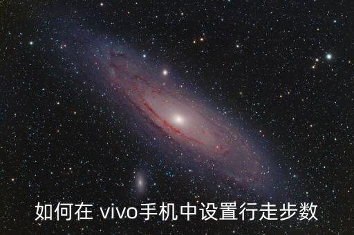 vivo記錄運(yùn)動(dòng)數(shù)據(jù)