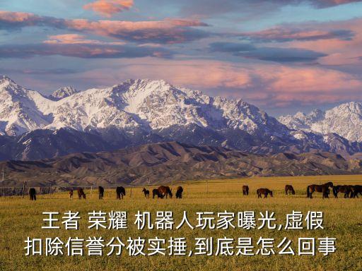  王者 榮耀 機(jī)器人玩家曝光,虛假扣除信譽(yù)分被實(shí)捶,到底是怎么回事