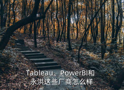 Tableau、PowerBI和 永洪這些廠商怎么樣