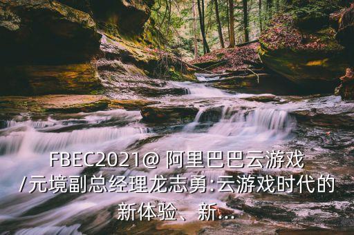 FBEC2021@ 阿里巴巴云游戲/元境副總經(jīng)理龍志勇:云游戲時代的新體驗(yàn)、新...