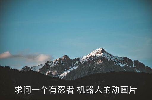 求問一個有忍者 機器人的動畫片