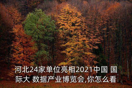 河北24家單位亮相2021中國 國際大 數(shù)據(jù)產(chǎn)業(yè)博覽會,你怎么看