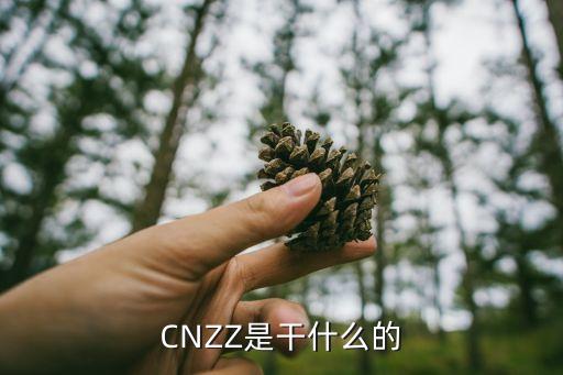 cnzz數(shù)據(jù)專(zhuān)家