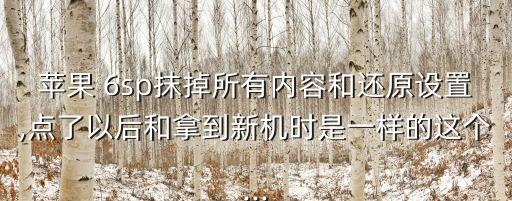 蘋果 6sp抹掉所有內(nèi)容和還原設(shè)置,點(diǎn)了以后和拿到新機(jī)時(shí)是一樣的這個(gè)...