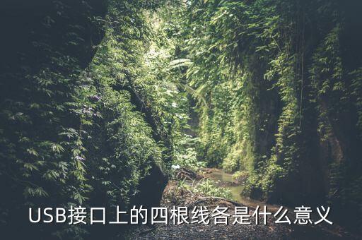 USB接口上的四根線各是什么意義