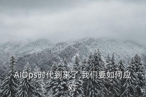 大數(shù)據(jù)apm