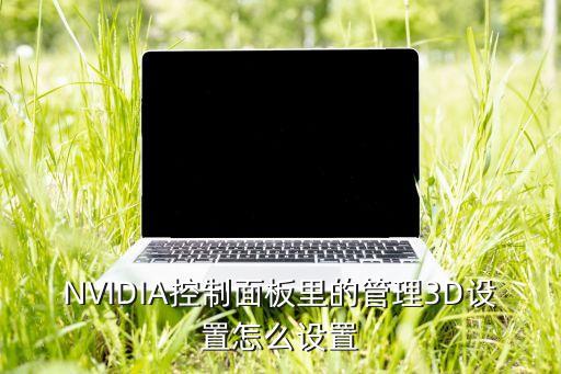 NVIDIA控制面板里的管理3D設(shè)置怎么設(shè)置