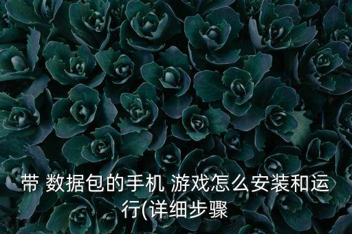 帶 數(shù)據(jù)包的手機 游戲怎么安裝和運行(詳細步驟