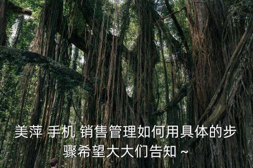 美萍 手機(jī) 銷售管理如何用具體的步驟希望大大們告知～