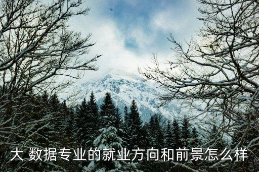 大 數(shù)據(jù)專業(yè)的就業(yè)方向和前景怎么樣