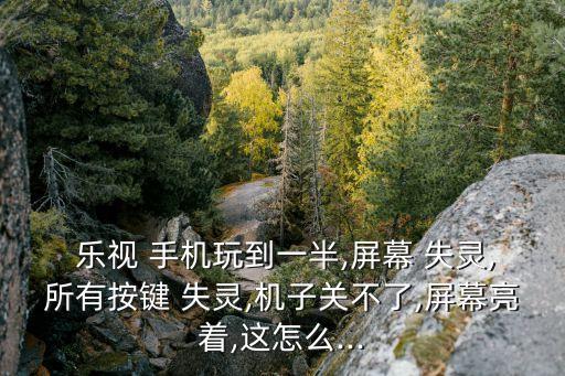  樂視 手機(jī)玩到一半,屏幕 失靈,所有按鍵 失靈,機(jī)子關(guān)不了,屏幕亮著,這怎么...
