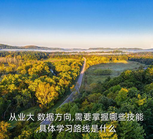 從業(yè)大 數(shù)據(jù)方向,需要掌握哪些技能,具體學(xué)習(xí)路線是什么