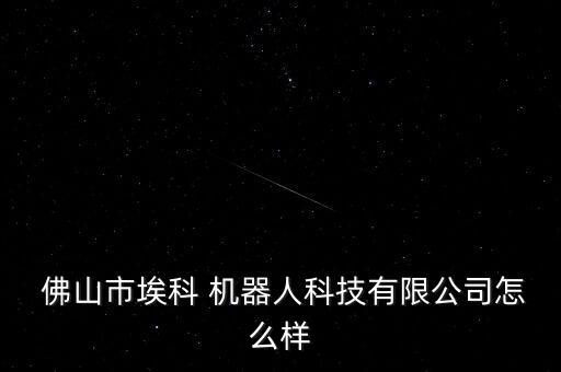  佛山市埃科 機器人科技有限公司怎么樣
