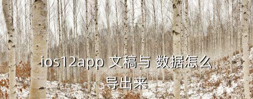 ios12app 文稿與 數(shù)據(jù)怎么導(dǎo)出來