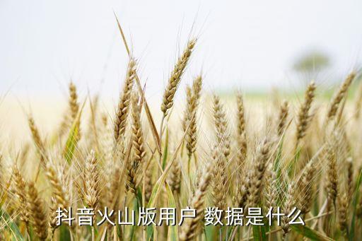 張楠數(shù)據(jù),張楠 復(fù)旦大學(xué)大數(shù)據(jù)