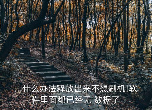 ...什么辦法釋放出來不想刷機(jī)!軟件里面都已經(jīng)無 數(shù)據(jù)了