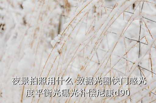  夜景拍照用什么 數(shù)據(jù)光圈快門感光度平衡光曝光補(bǔ)償尼康d90