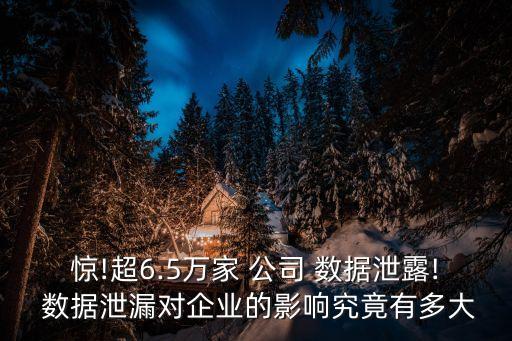 大數(shù)據(jù)時(shí)代倒閉的公司,2017年公司倒閉數(shù)據(jù)