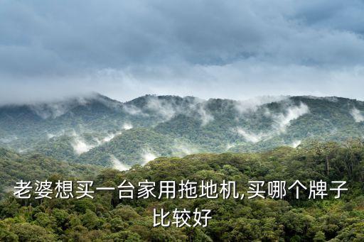 老婆想買一臺家用拖地機(jī),買哪個牌子比較好