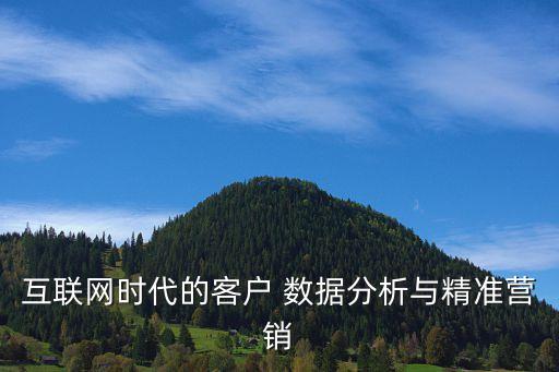 互聯(lián)網(wǎng)時(shí)代的客戶 數(shù)據(jù)分析與精準(zhǔn)營銷