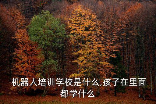 樂智機(jī)器人的價(jià)值,深圳樂智機(jī)器人有限公司