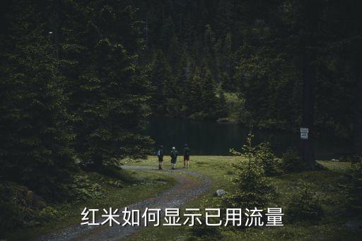  紅米如何顯示已用流量