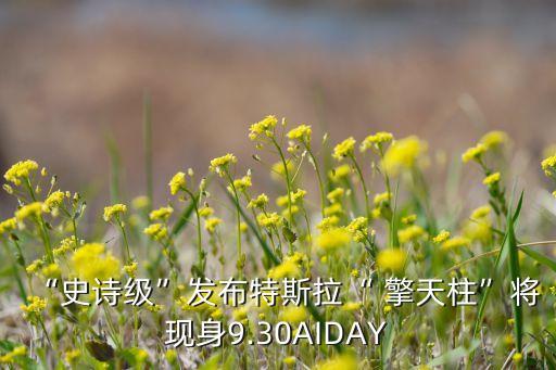 “史詩(shī)級(jí)”發(fā)布特斯拉“ 擎天柱”將現(xiàn)身9.30AIDAY
