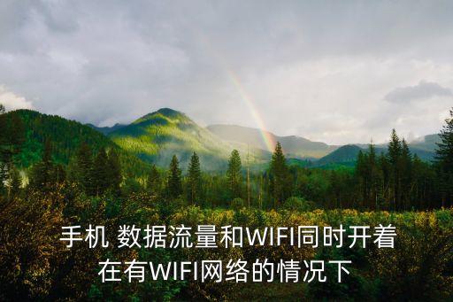  手機 數據流量和WIFI同時開著在有WIFI網絡的情況下