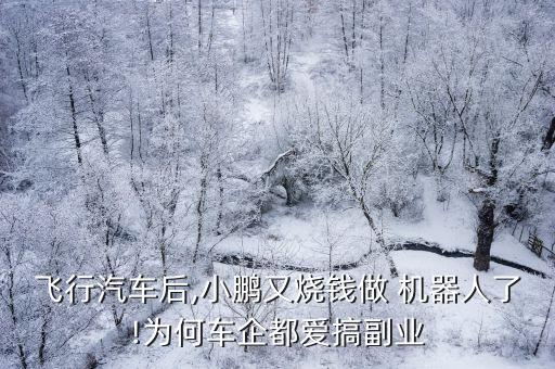 獵豹機器人融資,mit獵豹機器人
