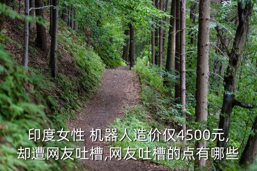 印度女性 機(jī)器人造價(jià)僅4500元,卻遭網(wǎng)友吐槽,網(wǎng)友吐槽的點(diǎn)有哪些