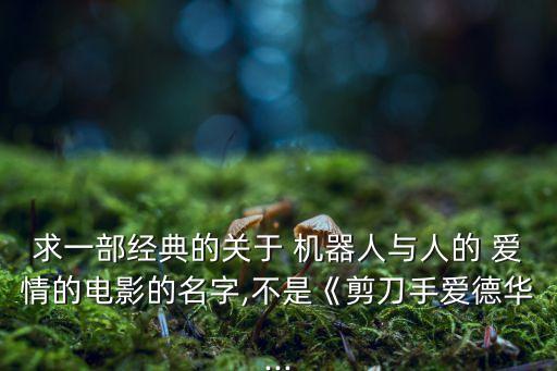 求一部經(jīng)典的關(guān)于 機(jī)器人與人的 愛情的電影的名字,不是《剪刀手愛德華...