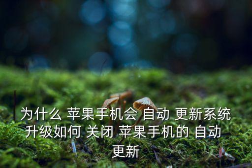 為什么 蘋果手機會 自動 更新系統(tǒng)升級如何 關(guān)閉 蘋果手機的 自動 更新