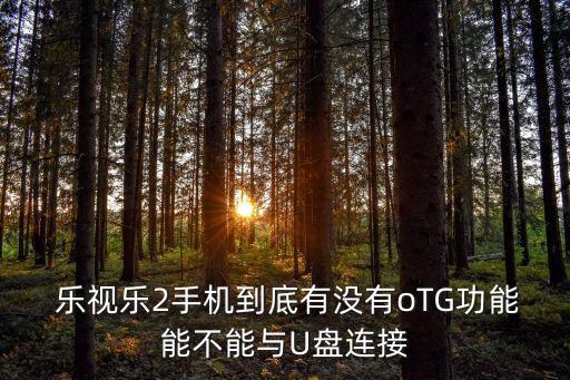 樂視數(shù)據(jù)線制作otg視頻嗎
