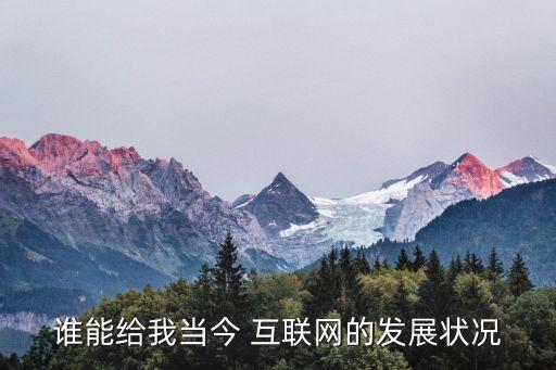 誰能給我當(dāng)今 互聯(lián)網(wǎng)的發(fā)展?fàn)顩r