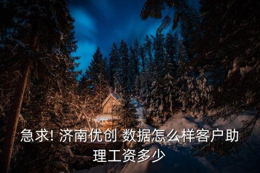 濟(jì)南數(shù)據(jù)編輯,excel數(shù)據(jù)編輯鏈接