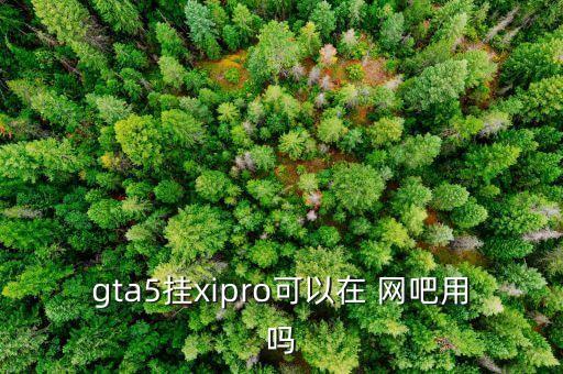gta5掛xipro可以在 網(wǎng)吧用嗎