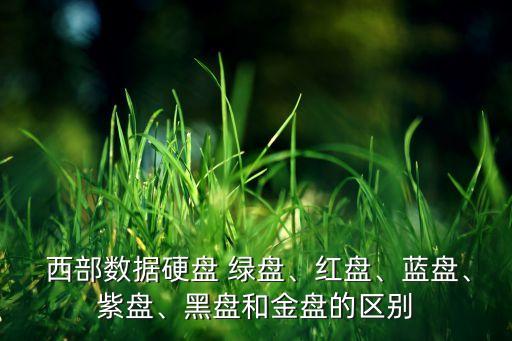 西部數(shù)據(jù)硬盤 綠盤、紅盤、藍(lán)盤、紫盤、黑盤和金盤的區(qū)別