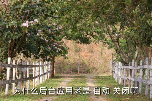 為什么后臺應(yīng)用老是 自動 關(guān)閉啊