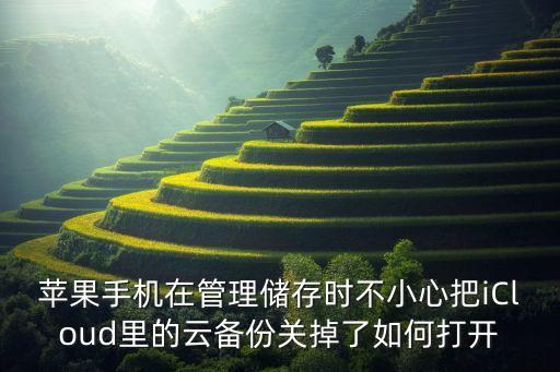 蘋果手機(jī)在管理儲存時不小心把iCloud里的云備份關(guān)掉了如何打開