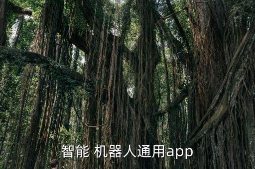 360兒童機(jī)器人裝軟件