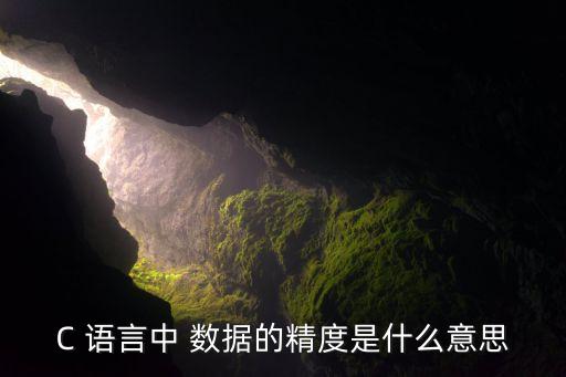 C 語言中 數(shù)據(jù)的精度是什么意思