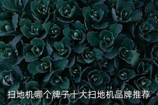 打掃機(jī)器人品牌,家庭衛(wèi)生打掃機(jī)器人