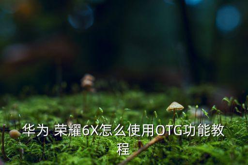 華為 榮耀6X怎么使用OTG功能教程
